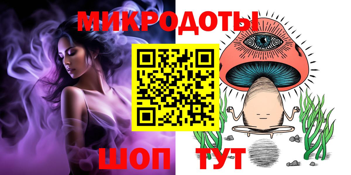 Галлюциногенные грибы Psilocybine cubensis Нижний Новгород