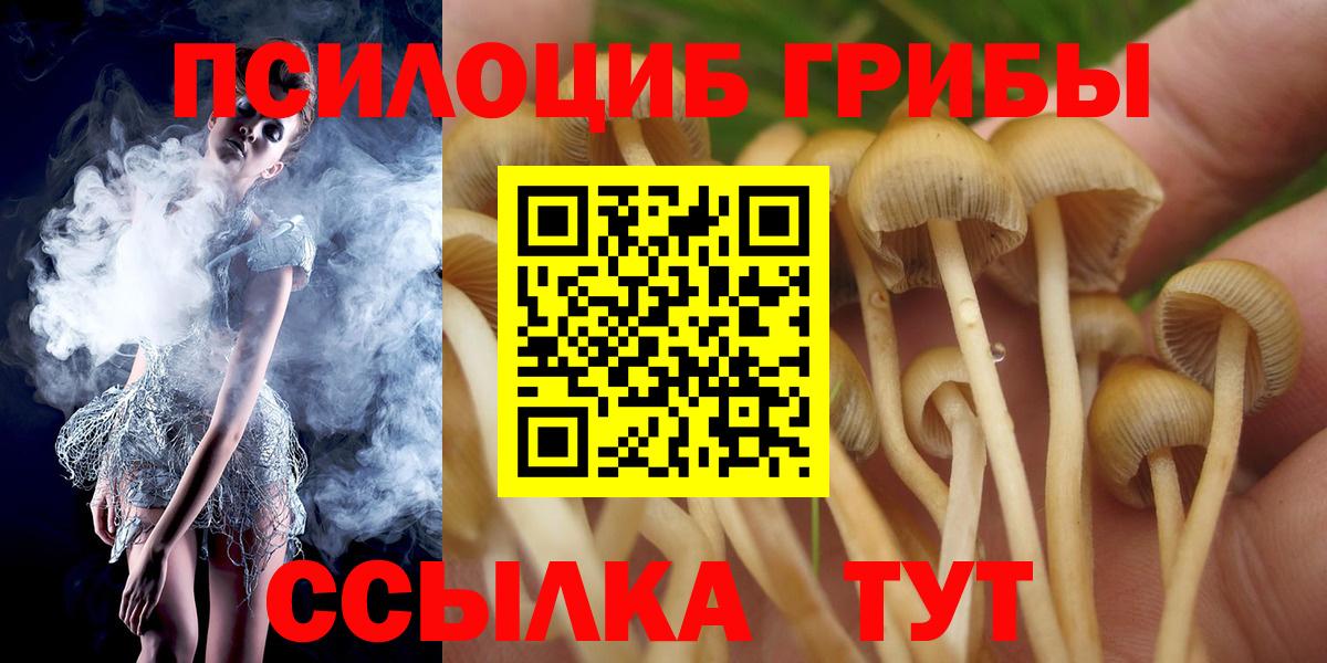 Псилоцибиновые грибы Magic Shrooms  Галлюциногенные грибы Psilocybine cubensis  Нижний Новгород  Вход с VPN 